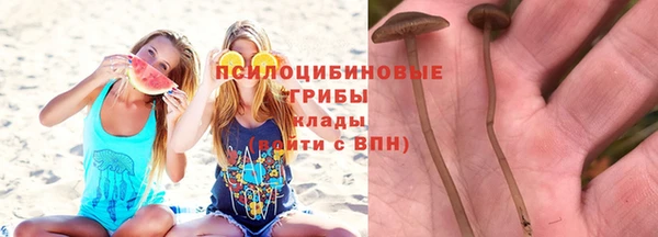 синтетический гашиш Арсеньев