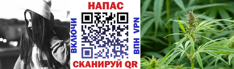 Конопля гибрид  hydra зеркало  Приморск 